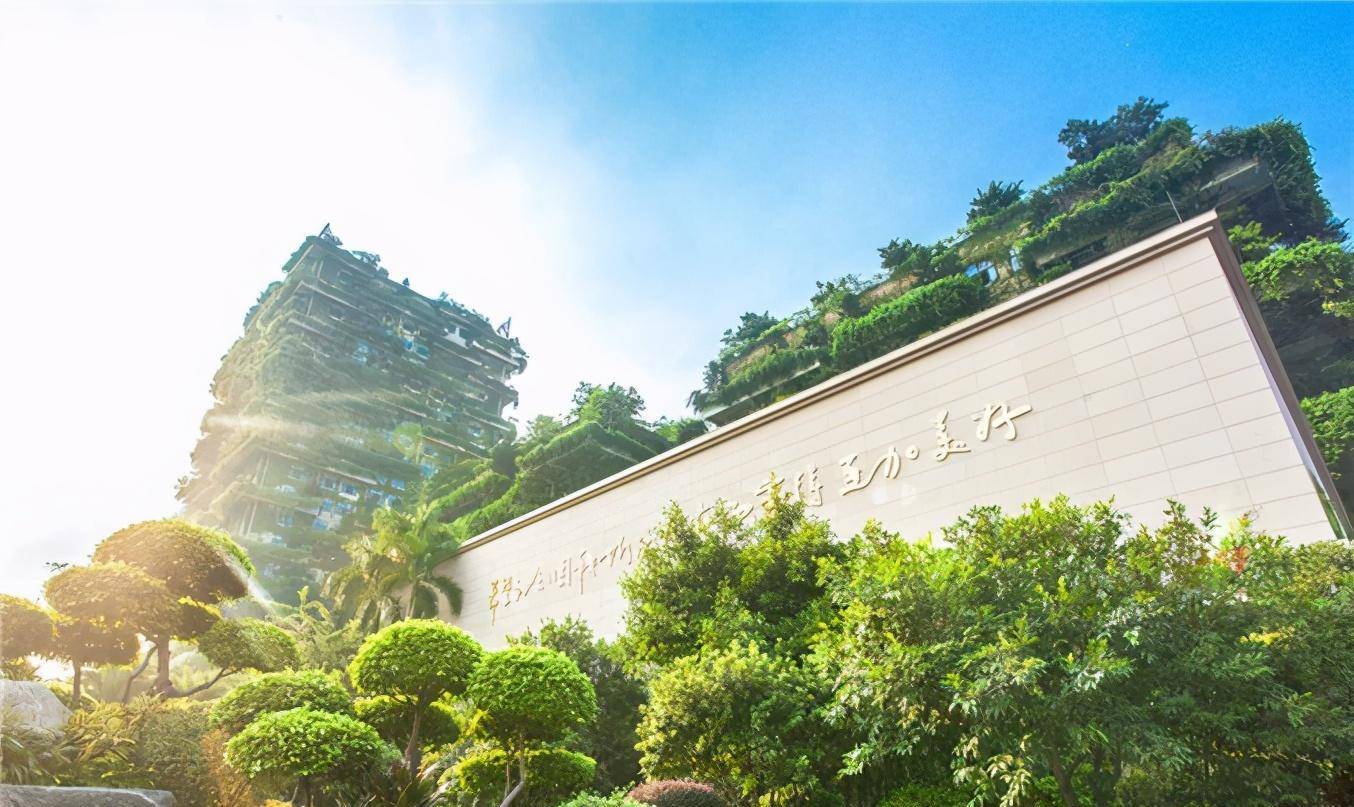 岁之前未穿过鞋专捡别人看不上的地AG旗舰厅网站碧桂园杨国强：17(图7)