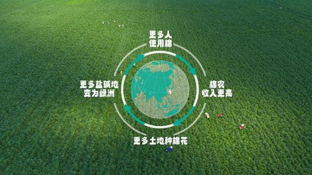 da Goose加拿大鹅“共话青皑”沉浸式体验之旅 于成都开